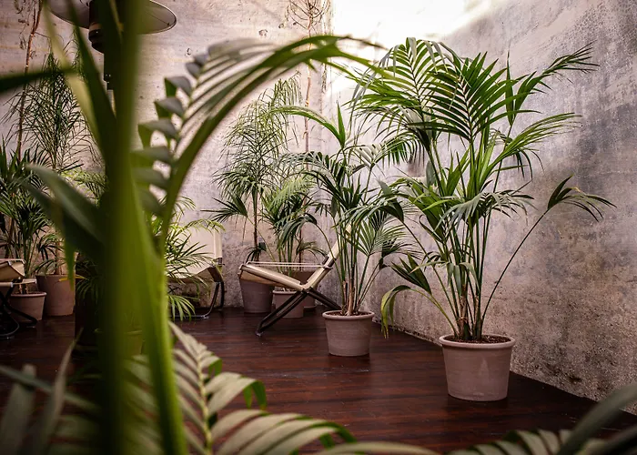 Riviera Hotel 5*